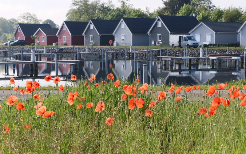 Ferienhausvermietung Firmenanschrift Wandlitz